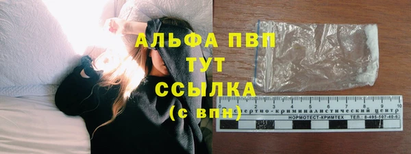ECSTASY Липки