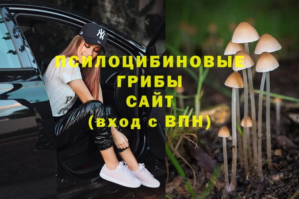 ECSTASY Липки