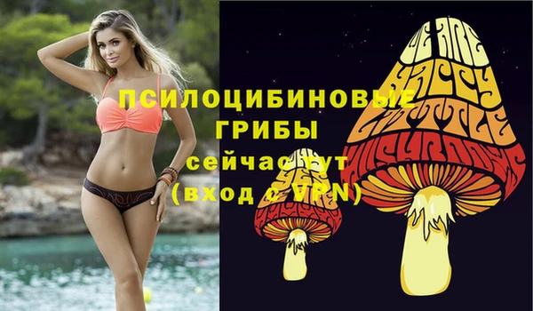 ECSTASY Липки