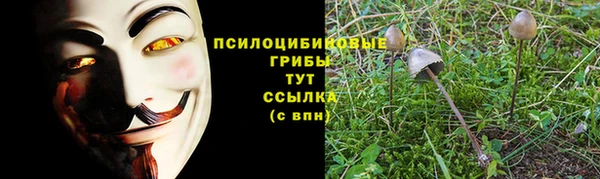 Альфа ПВП Лиски